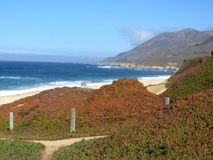 Garrapata State Park, California, USA